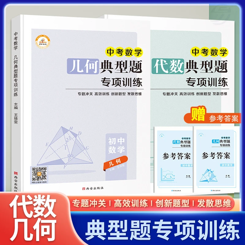 中考数学初中几何代数典型题专项训练全套2册初中生题型新颖检测