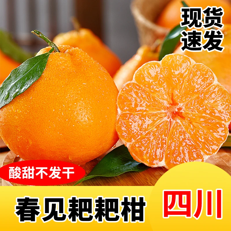 正宗四川春见耙耙柑4.5斤橘子水果当季时令孕妇水果桔子薄皮包邮
