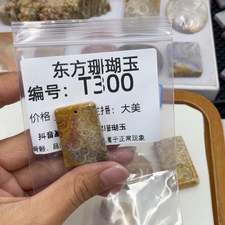 硅化珊瑚（珊瑚玉）颈饰合金?****?
