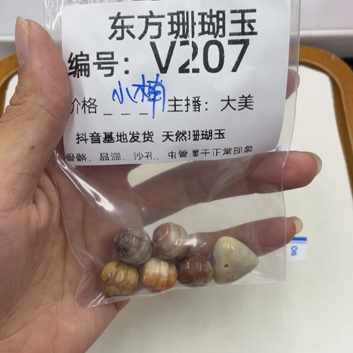 硅化珊瑚（珊瑚玉）颈饰合金小*●