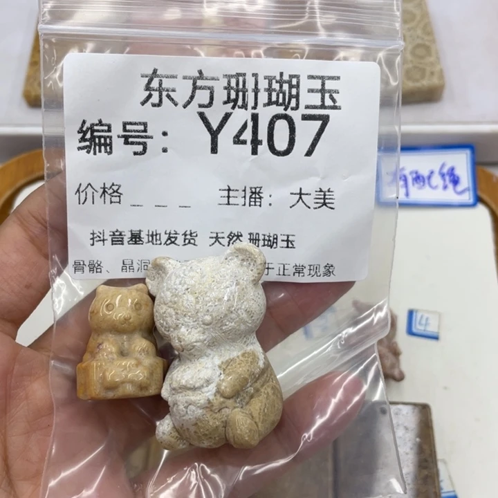 硅化珊瑚（珊瑚玉）颈饰合金S****主