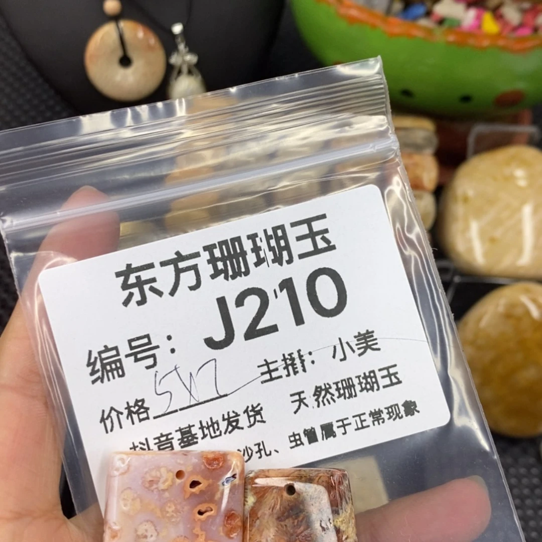 【闪购商品】硅化珊瑚（珊瑚玉）颈饰未镶嵌凡***?