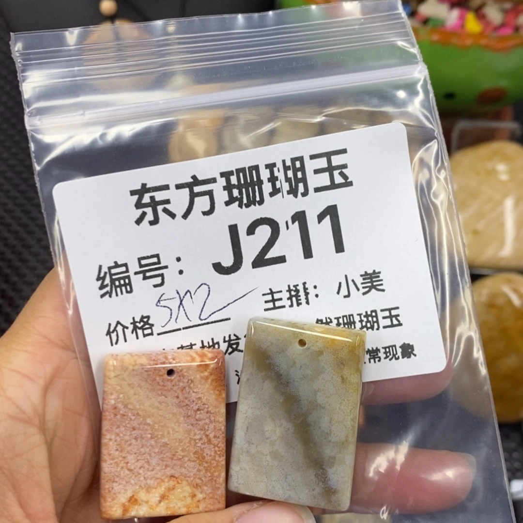 【闪购商品】硅化珊瑚（珊瑚玉）颈饰未镶嵌富*竹