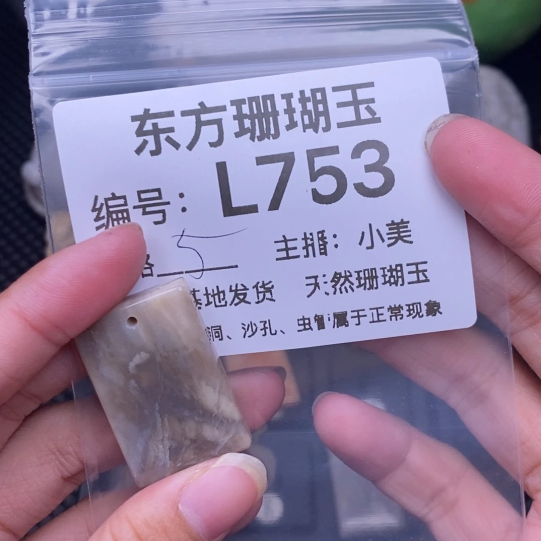 【闪购商品】硅化玉颈饰未镶嵌阳