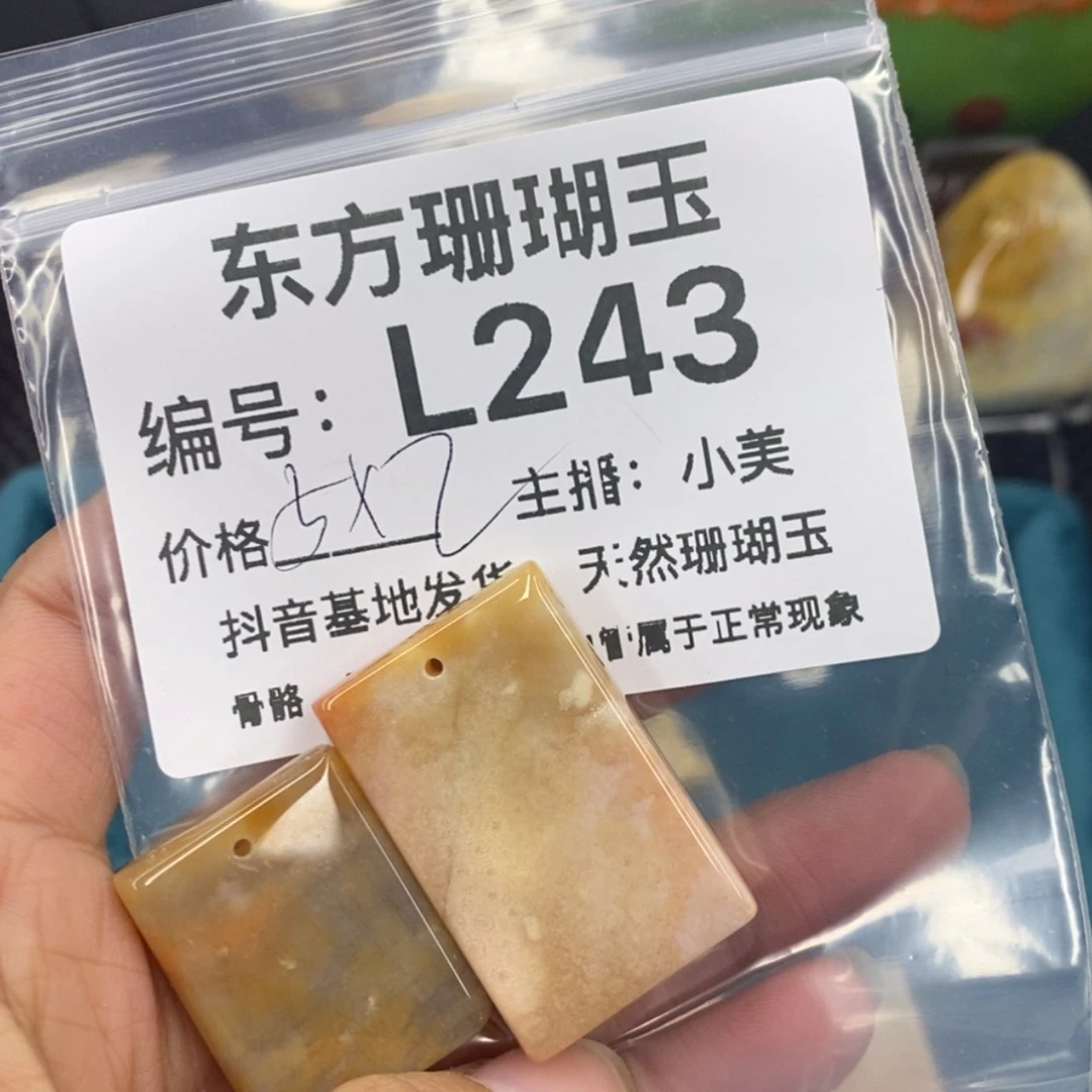 【闪购商品】硅化珊瑚（珊瑚玉）颈饰未镶嵌富*竹