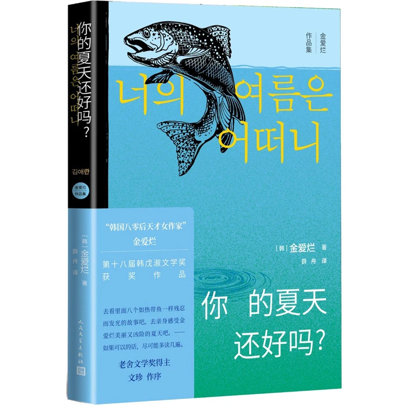 你的夏天还好吗? 正版书籍精选好书