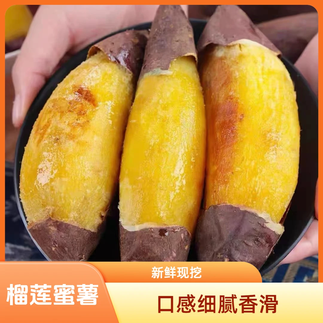 包正宗【榴莲蜜薯】黄心蜜薯丝滑地瓜沙地新鲜红薯现挖5斤3斤2斤装