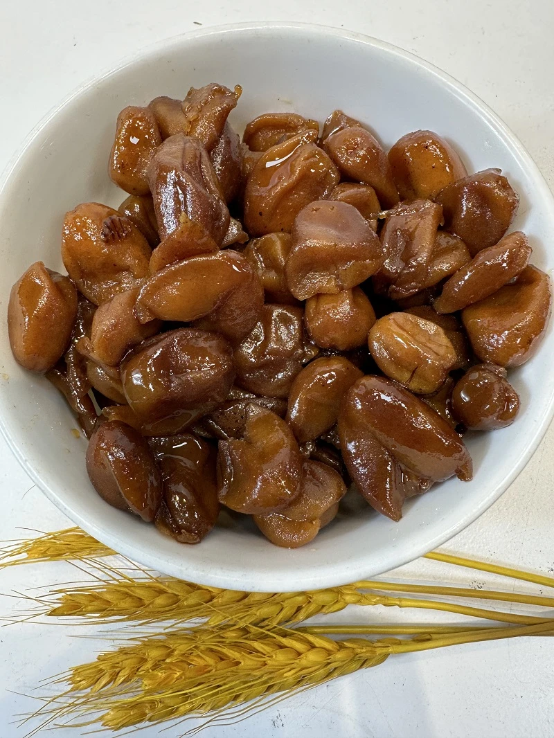 新广东特产无核蜂蜜黄皮干黄皮果鸡心果蜜饯小零食根茎