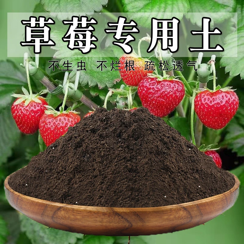草莓专用土草莓土盆栽通用酸性土营养土养花泥土壤种植土