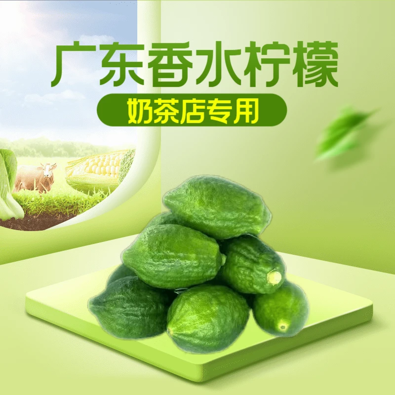 正宗果园香水柠檬无籽新鲜采摘奶茶店精选果园柠檬鲜果手打柠檬茶