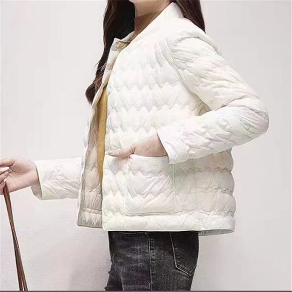 女士棉服2短款薄款小香风波浪纹立领夹棉2024秋冬休闲外套棉衣