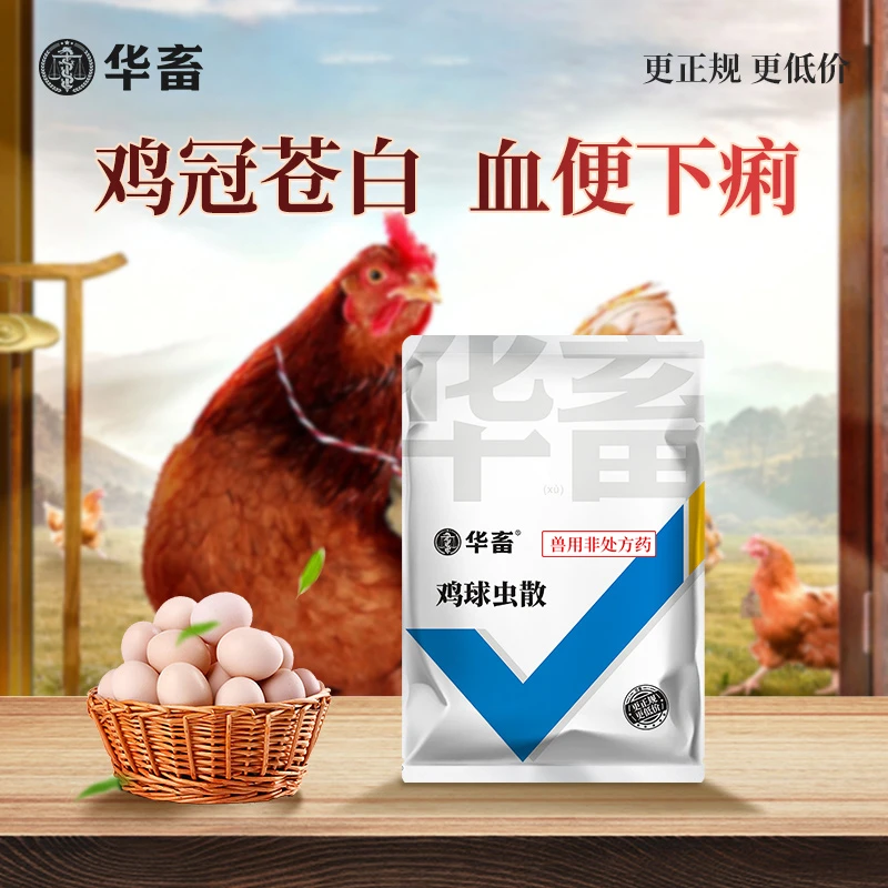 华畜兽药鸡球虫散鸡兔子鸭鹅鸽药兽用正品区打虫药球虫药