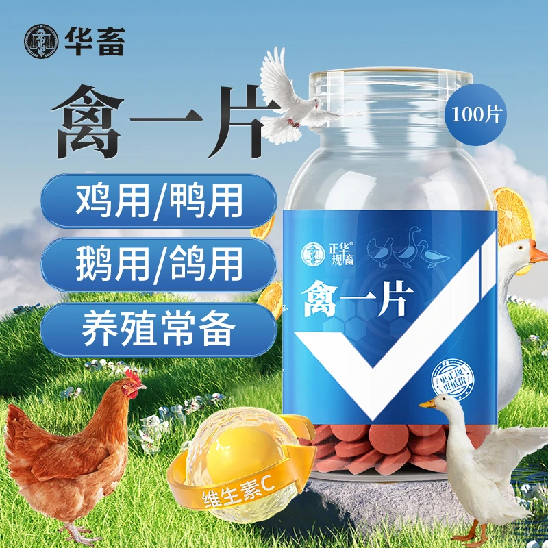 禽一片厂家直销正品禽类养殖鸡鸭鹅鸽鹌鹑养殖四季常备饲料添加剂
