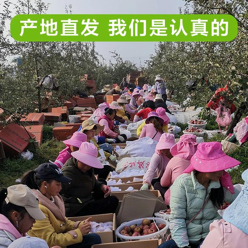 【5斤/8斤】正宗四川盐源丑苹果雪花冰糖心脆甜鲜果直发 坏果包赔