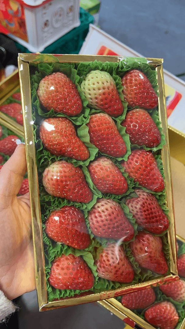 【收到货请尽快食用】丹东纯甜草莓12-15粒盒装