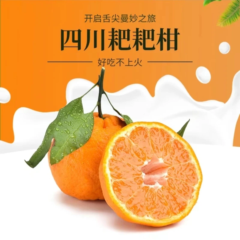 春见爆汁耙耙柑约450-500g