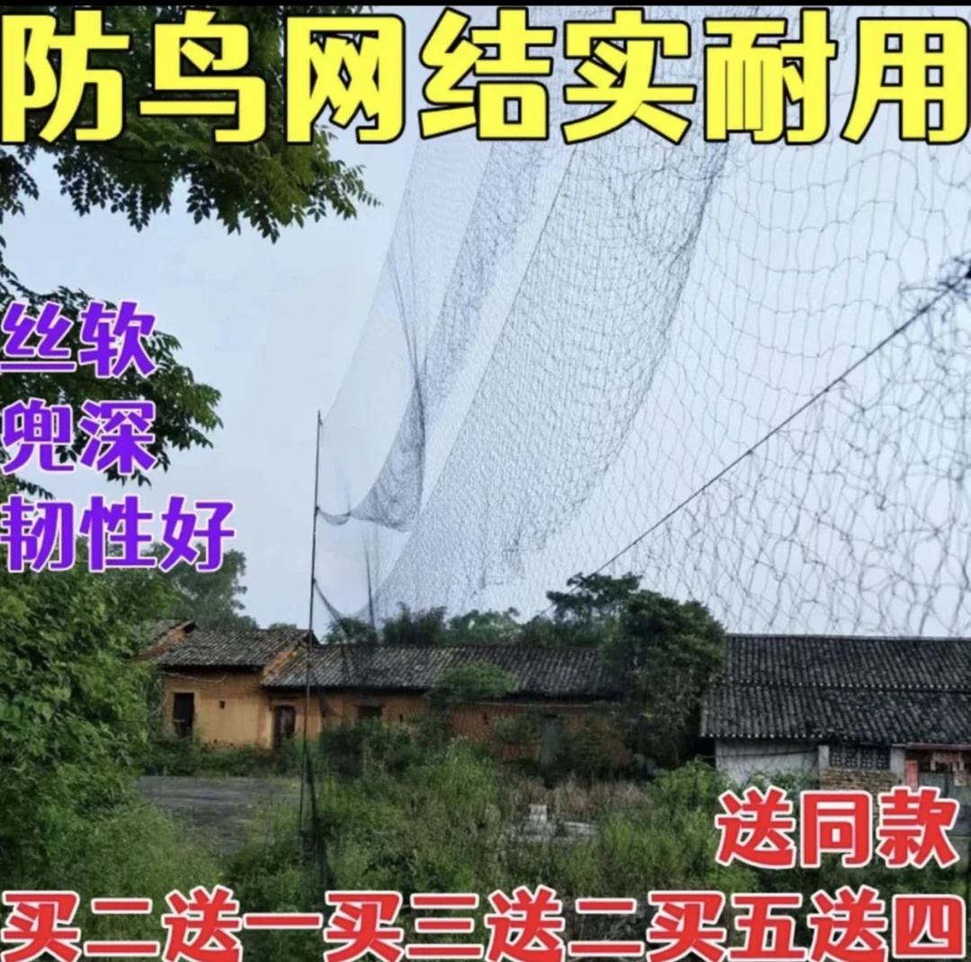 夜游防鸟网尼龙防鸟网果园单丝防鸟嘛雀画眉鸽子防斑鸠喜鹊防鸟网