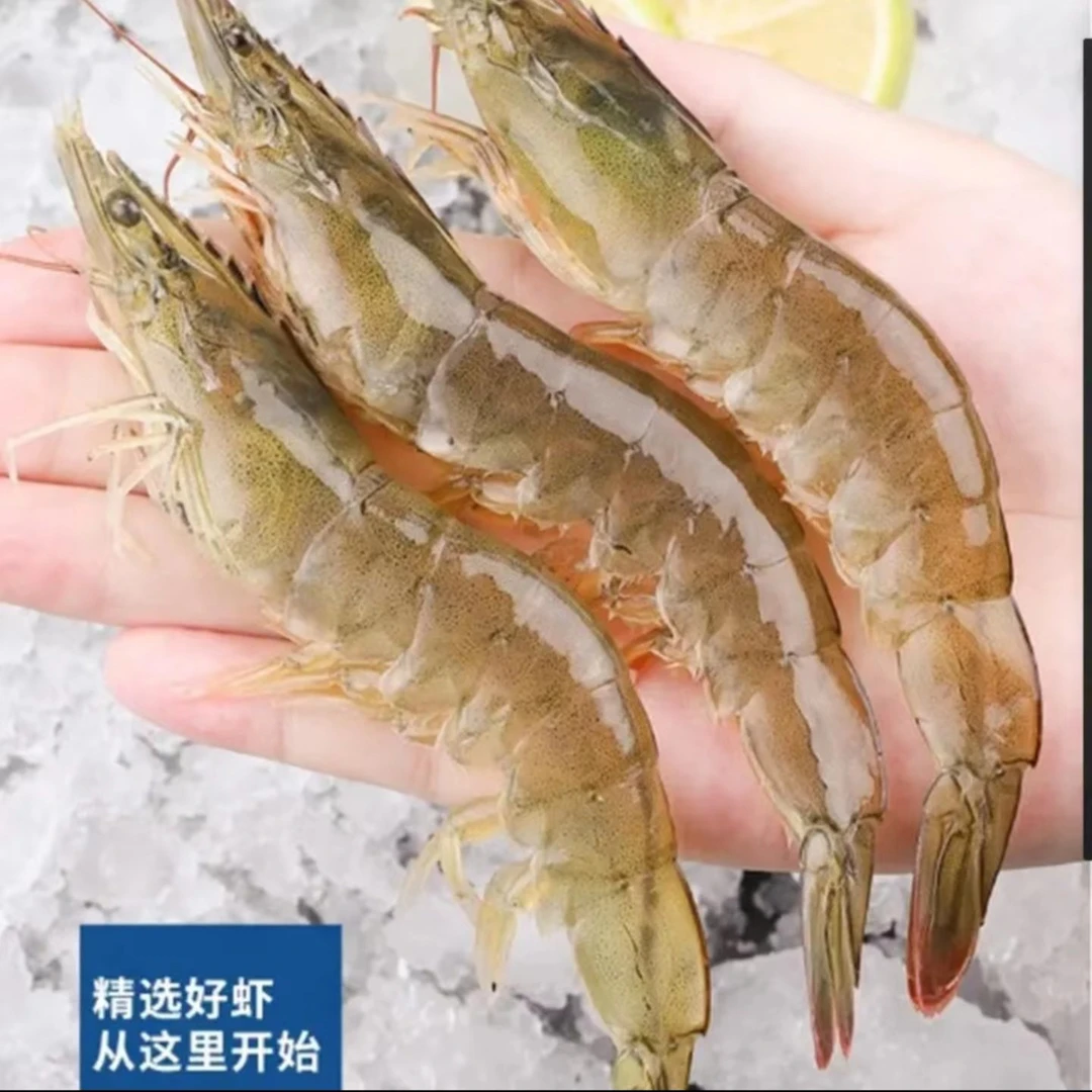 超大号海洋冷冻对虾30/40盐冻虾活虾保鲜速冻 顺丰冷链发货