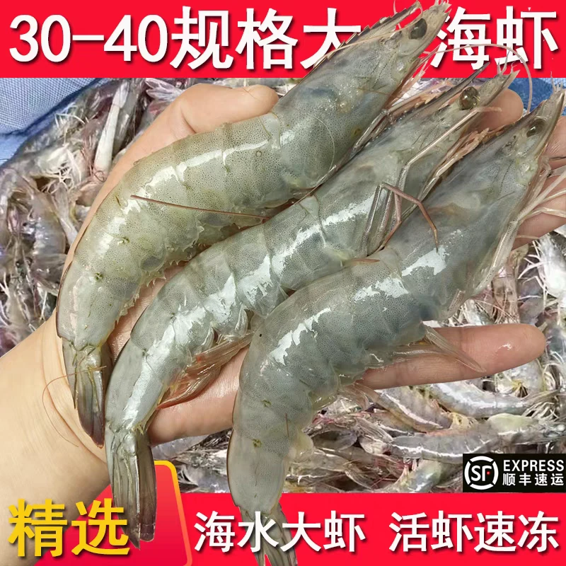 新鲜活冻超大号海虾3040盐冻虾对虾海水大虾 净重500克/包*3包