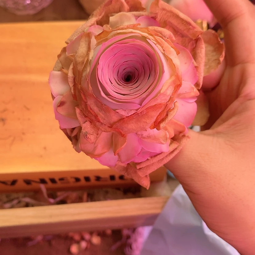 【闪购商品】｜****福利507