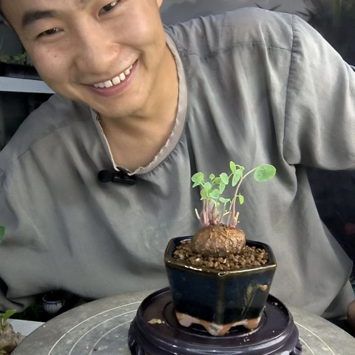 快**生中青园艺一物一拍129