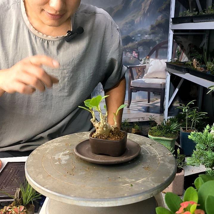 不****巫中青园艺一物一拍209