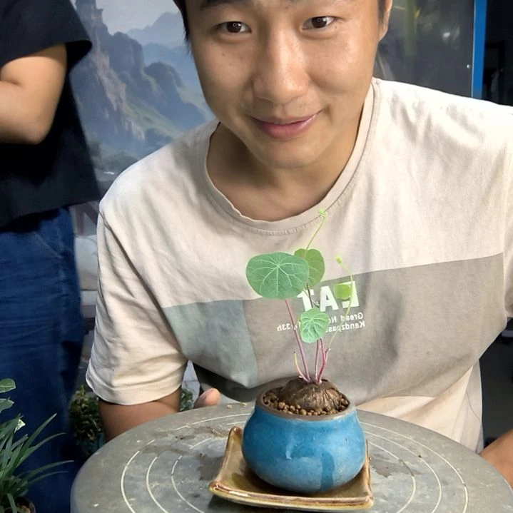 @*糖小盆景小植物一物一拍54