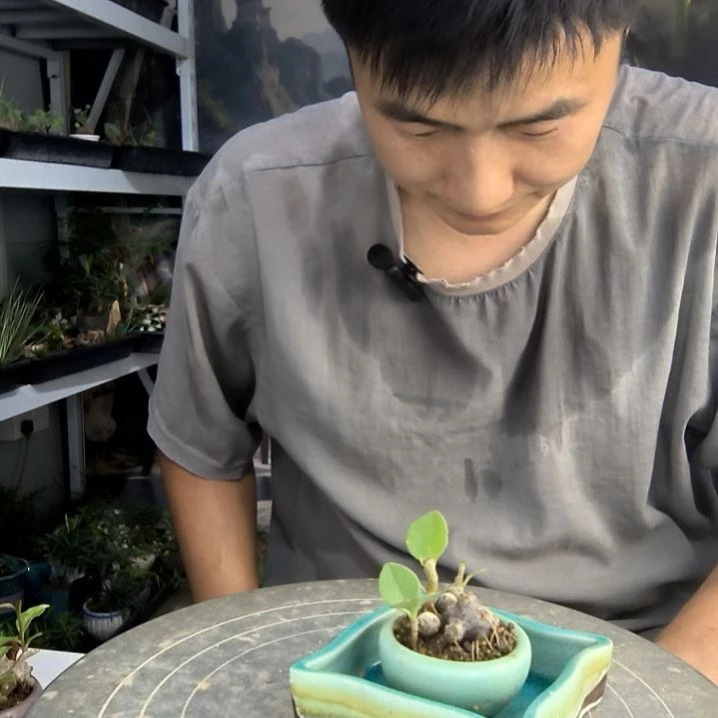 快**生中青园艺一物一拍136