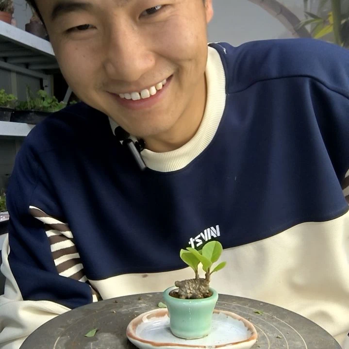 ?****?小盆景小植物一物一拍211