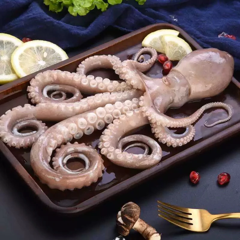 甄鲜优选 2斤/4斤长腿八爪鱼 开海新货当天现冻 冷冻锁鲜发货