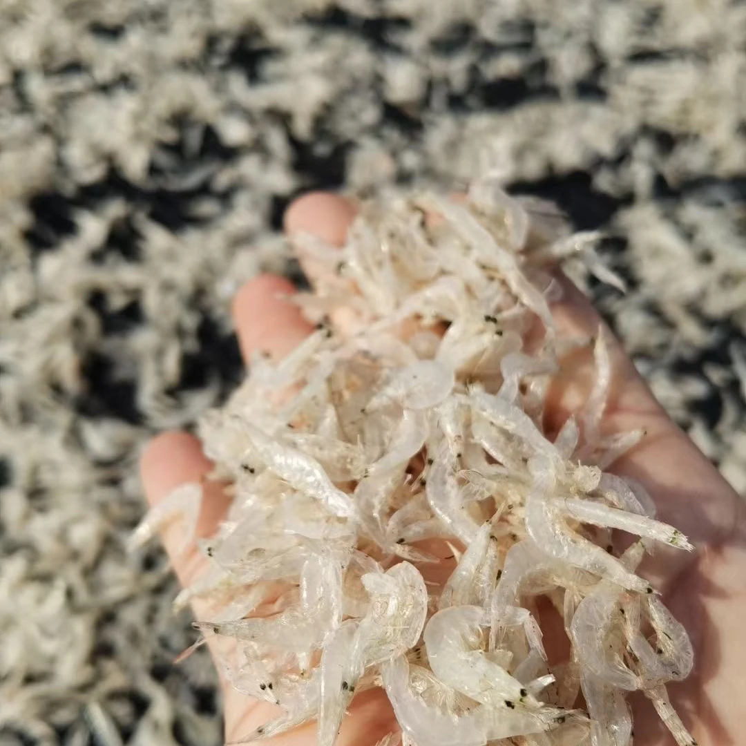 虾皮虾苗虾米汕尾本港虾皮苗虾干 淡干无沙甜甜