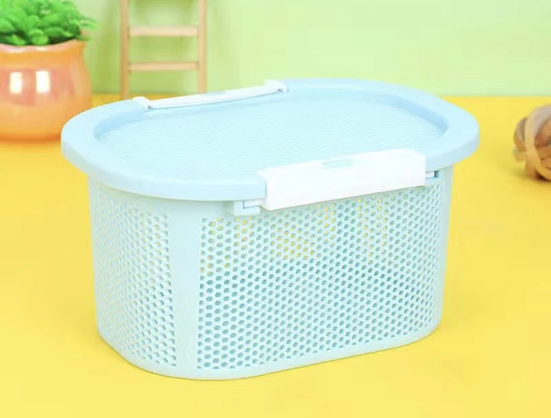 金丝熊波利直崽崽运输藤盒