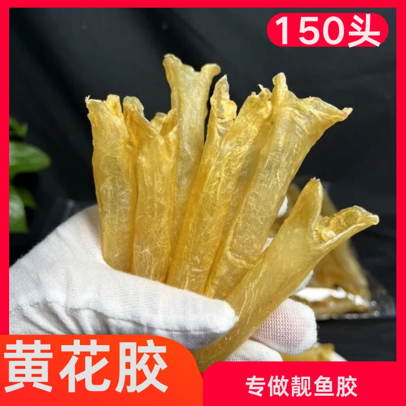 150头黄花胶/足干淡水老胶泡发好口感佳滋补花胶