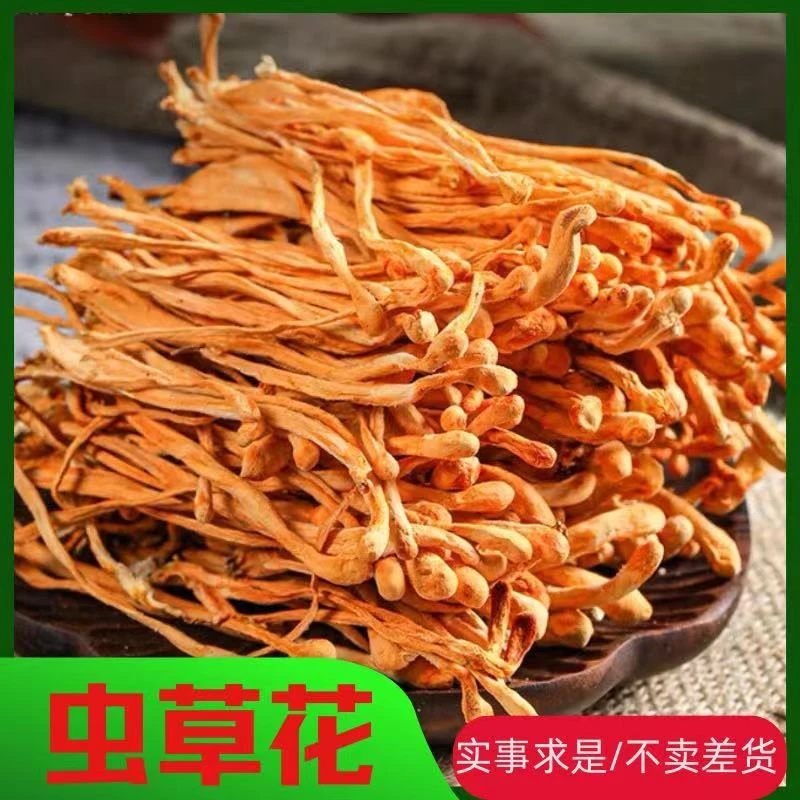 虫草花 精选生鲜干货带孢子煲汤炒菜100克/250克/500克营养北虫草