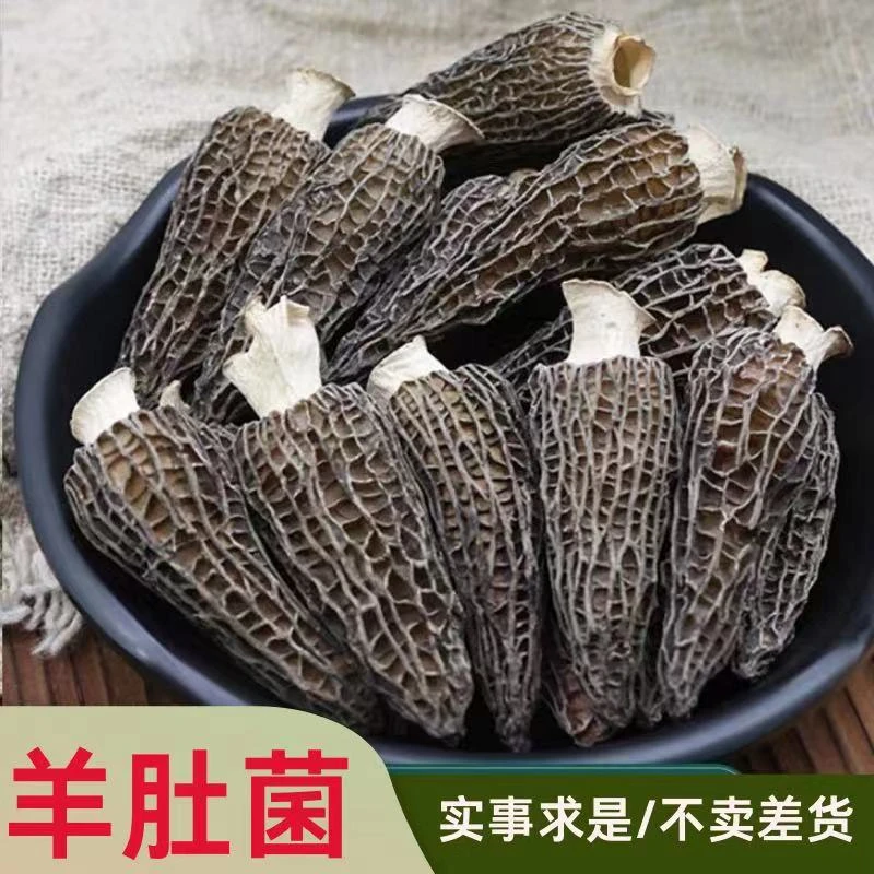 羊肚菌高山野生羊肚菌煲汤煮粥