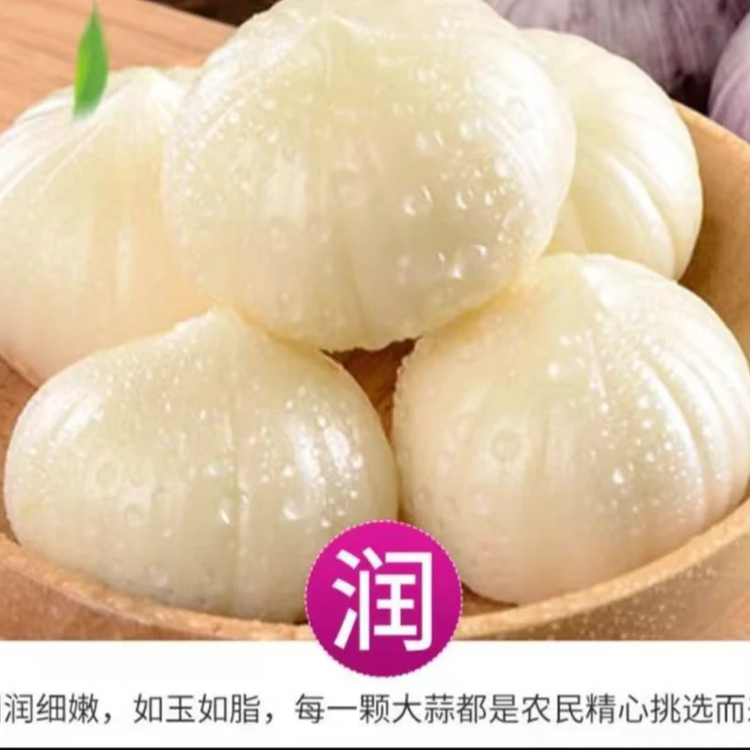 单头蒜种籽香辣蒜阳台盆栽种子