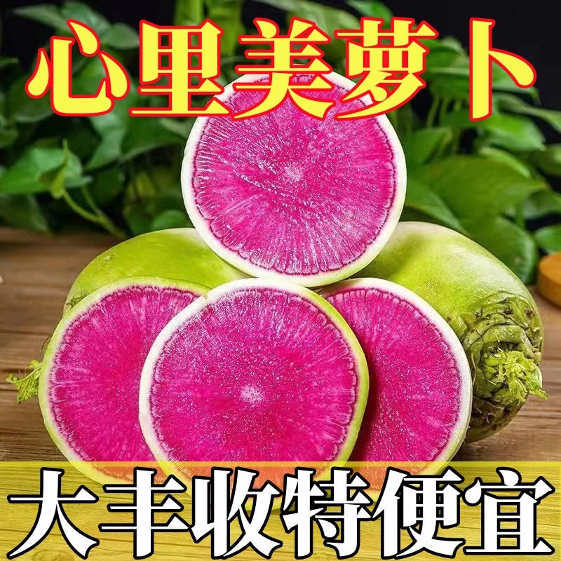 山东泰安心里美萝卜红心萝卜满堂红萝卜雕刻萝卜2500g新鲜现挖