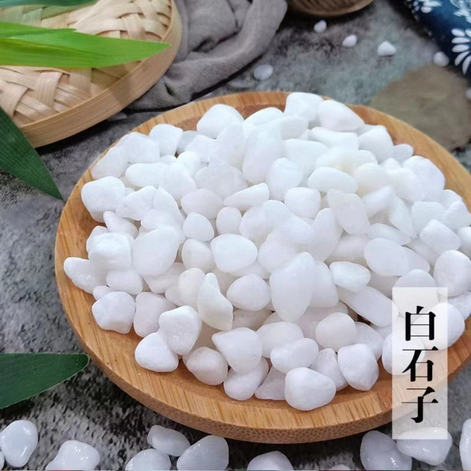 白石子铺路铺地装饰庭院阳台造景小石头园林花园景观白色鹅卵石