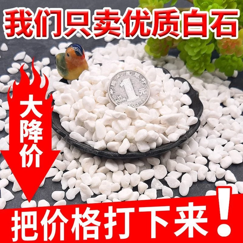 天然多肉铺面小白石子天然五彩石头花盆植物装饰鱼缸造景庭院铺路