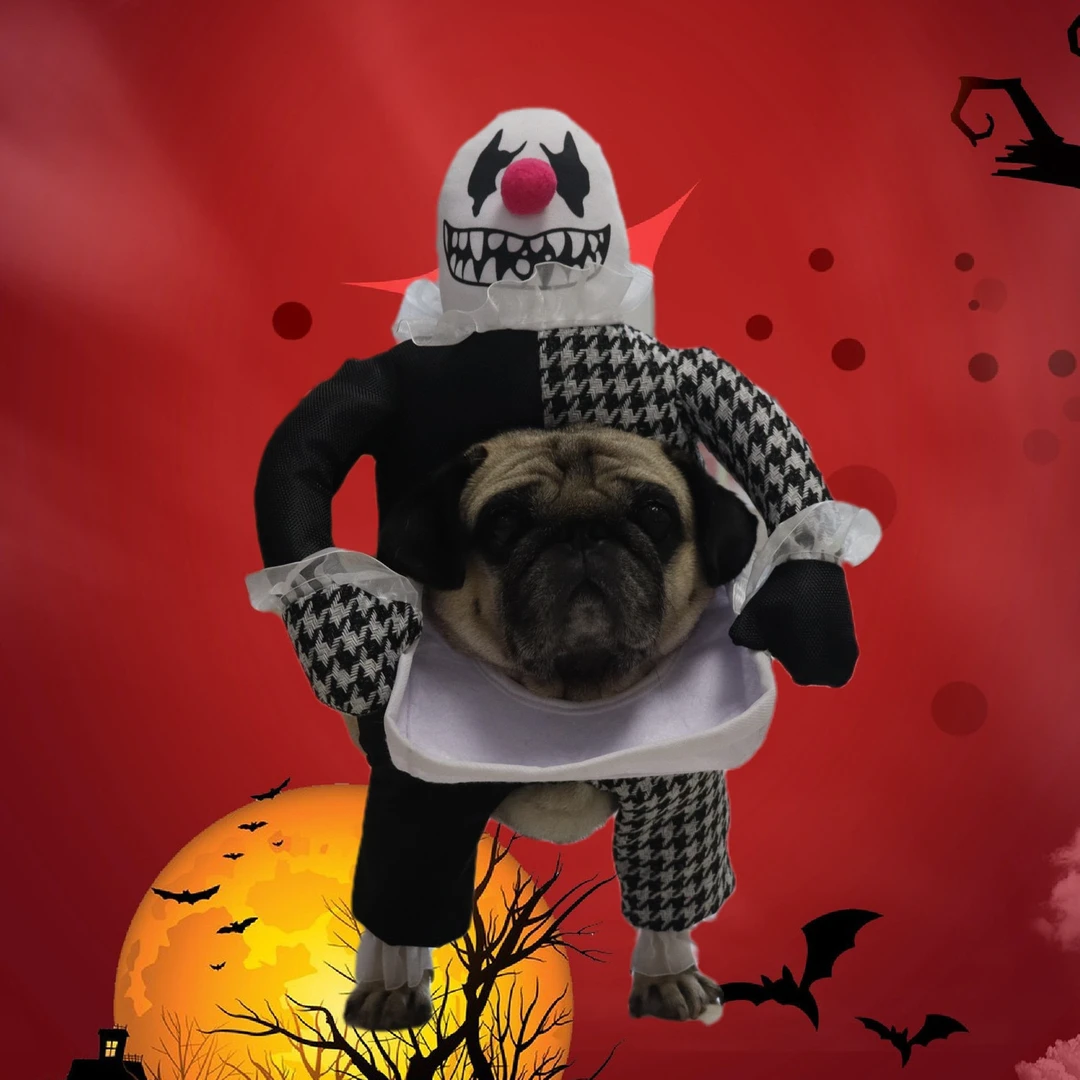 宠物万圣节服装拍照道具小中大型犬狗衣服恶魔小丑变身装搞怪节日