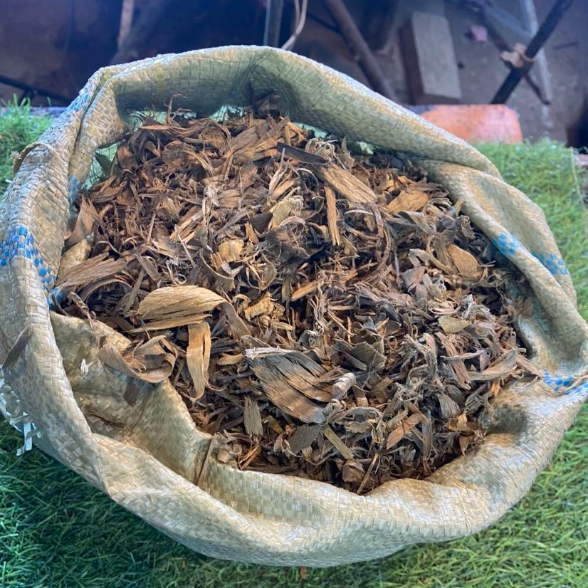 小叶金丝楠木刨花一袋香料