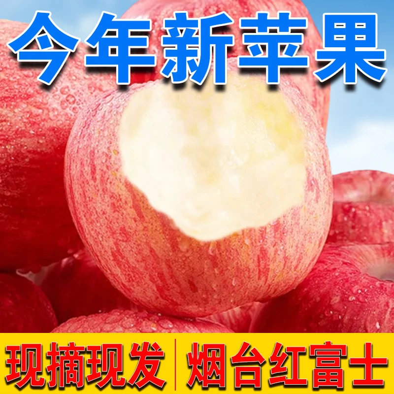 J【2024年新果】正宗烟台红富士苹果产地脆甜多汁皮薄核小新鲜水果