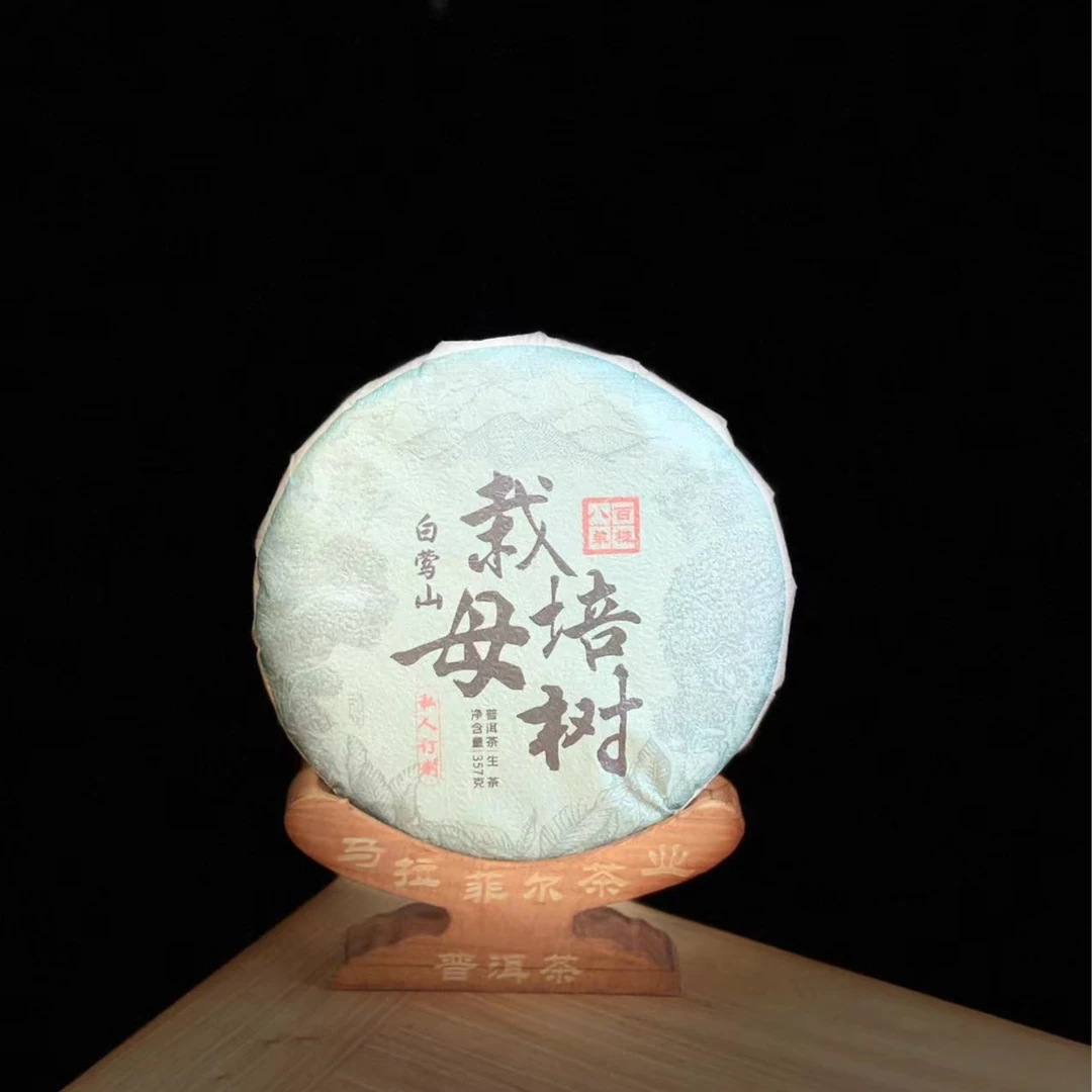白莺山800年古树单株357g 2018年头春头采