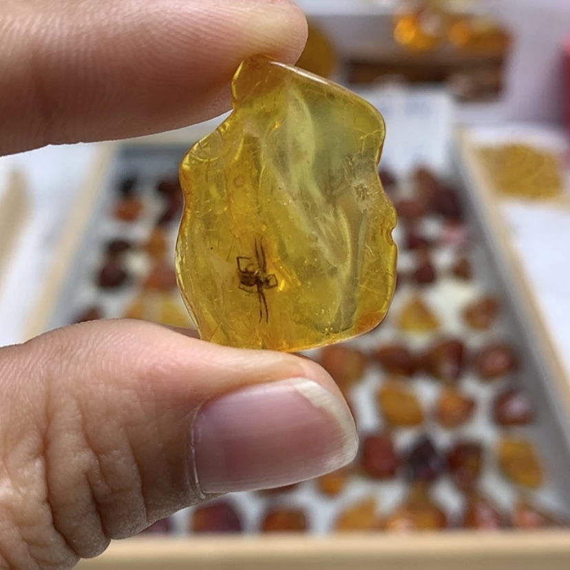 【闪购商品】定制琥珀未镶嵌K****」