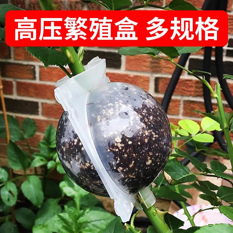 高压盒嫁接盒高压生根繁殖球扦插高压球植物高压繁殖盒月季生根盒