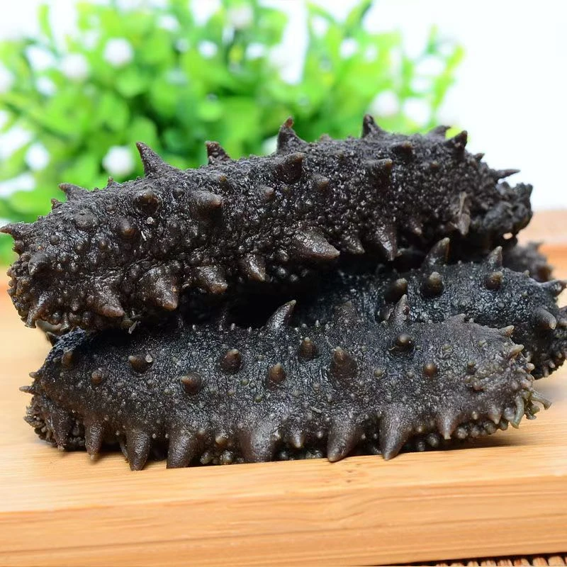 大连拉缸盐鲜海参【40-60头/500g】