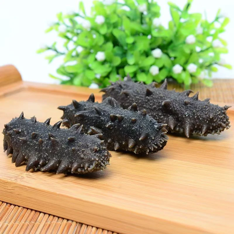 大连拉缸盐鲜海参【50-60头/500g】