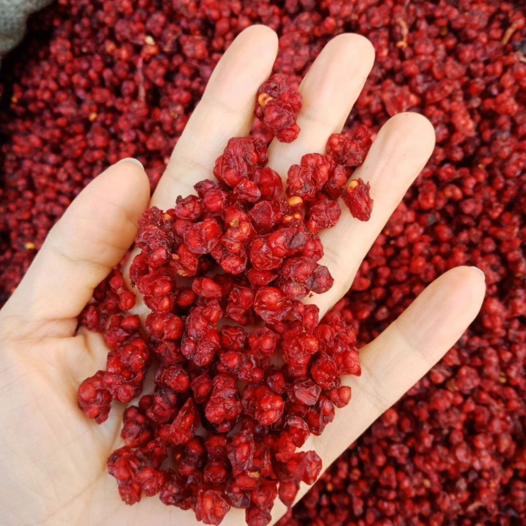 东北深 山【五 味 子】北五味干货250/500g