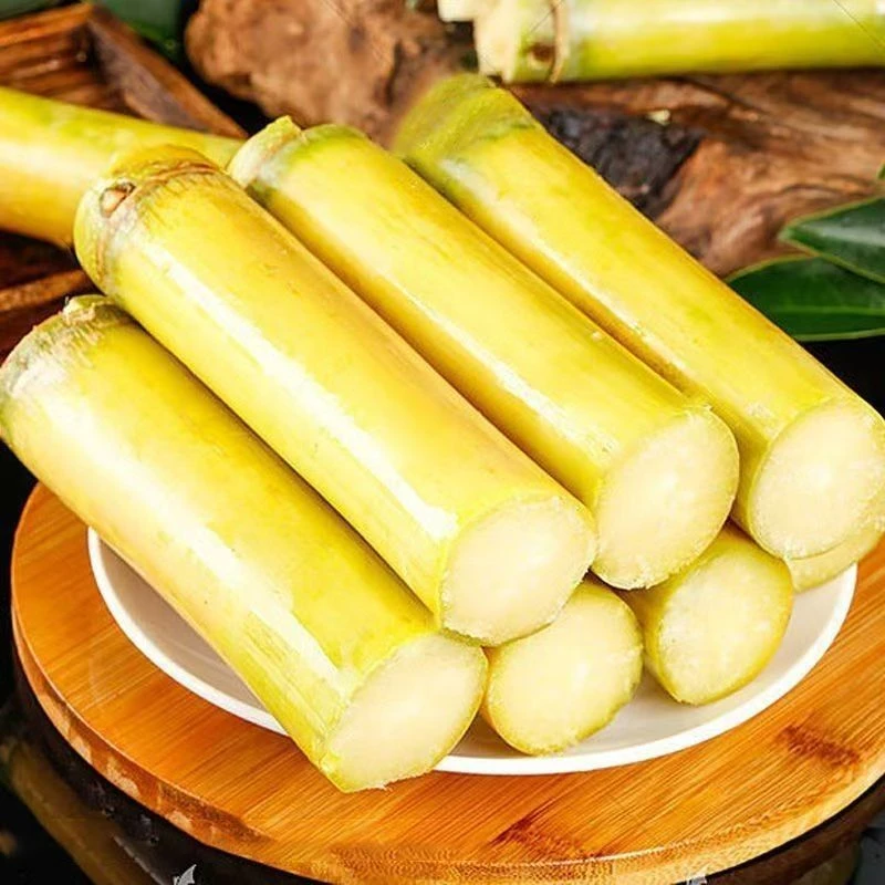 黄金甘蔗现摘现发清甜多汁整箱5斤装4-6根tz