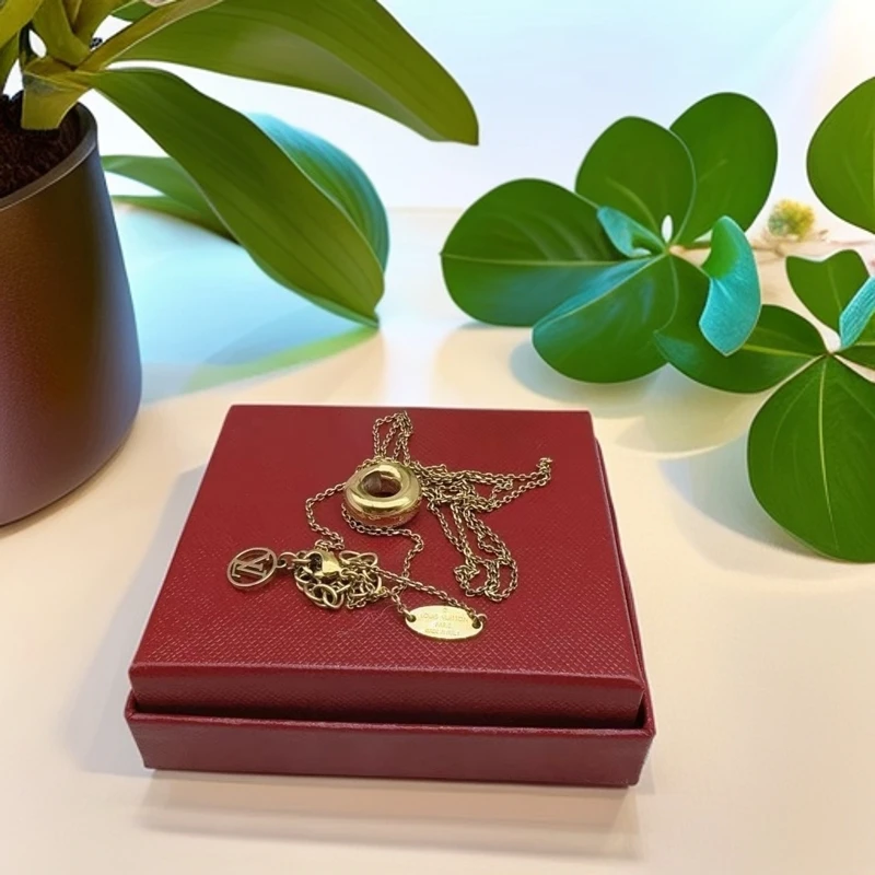 95新 LouisVuitton/路易威登  项链 1032 2835